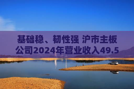基础稳、韧性强 沪市主板公司2024年营业收入49.57万亿元