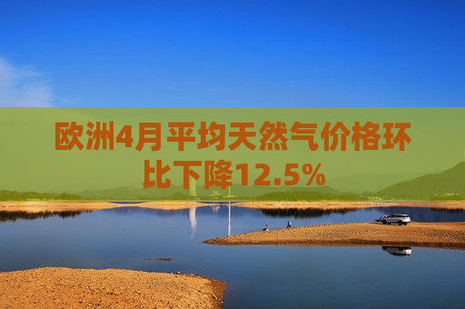 欧洲4月平均天然气价格环比下降12.5%