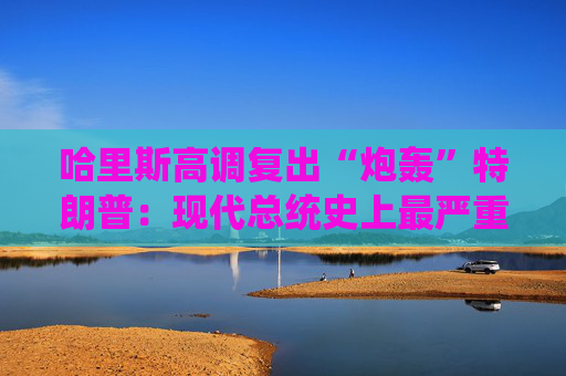 哈里斯高调复出“炮轰”特朗普：现代总统史上最严重的人为经济危机