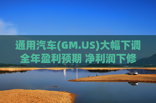 通用汽车(GM.US)大幅下调全年盈利预期 净利润下修至82亿-101亿美元