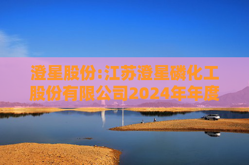 澄星股份:江苏澄星磷化工股份有限公司2024年年度股东大会决议公告