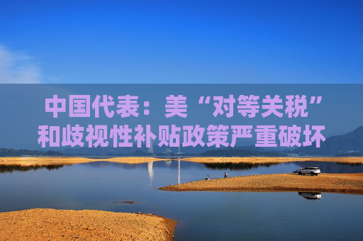 中国代表：美“对等关税”和歧视性补贴政策严重破坏世贸规则