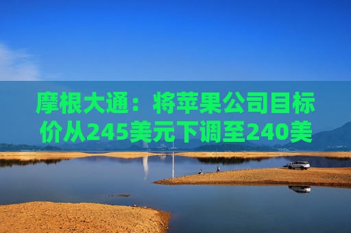 摩根大通：将苹果公司目标价从245美元下调至240美元