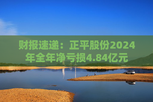 财报速递：正平股份2024年全年净亏损4.84亿元