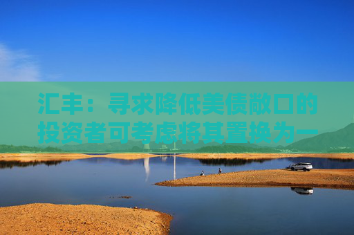 汇丰：寻求降低美债敞口的投资者可考虑将其置换为一篮子债券