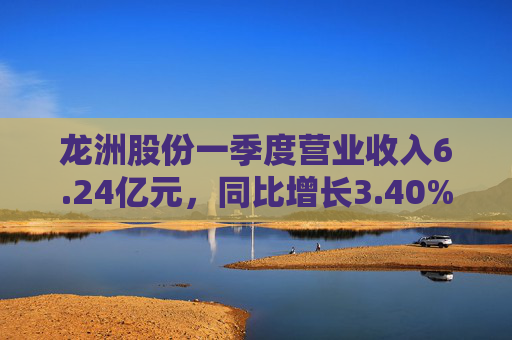 龙洲股份一季度营业收入6.24亿元，同比增长3.40%