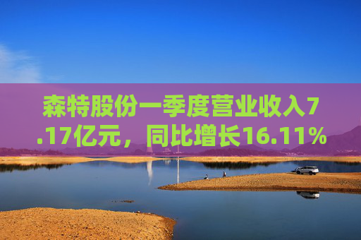 森特股份一季度营业收入7.17亿元，同比增长16.11%