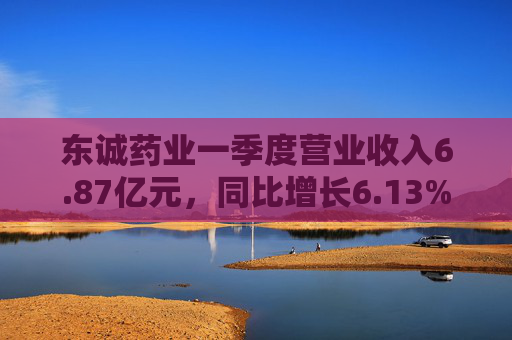 东诚药业一季度营业收入6.87亿元，同比增长6.13%