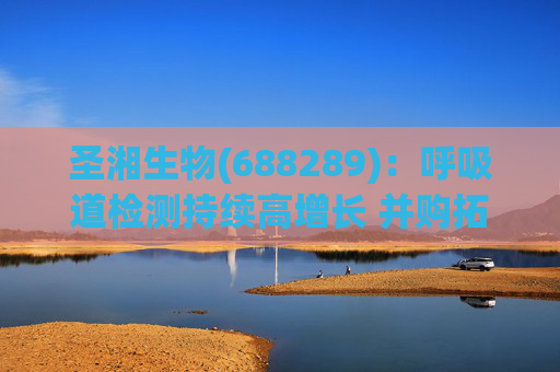 圣湘生物(688289)：呼吸道检测持续高增长 并购拓展成长边界