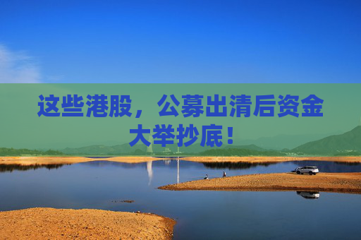 这些港股，公募出清后资金大举抄底！