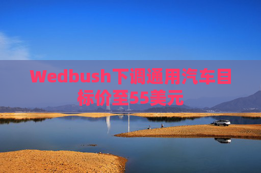 Wedbush下调通用汽车目标价至55美元