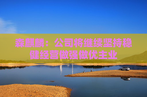 森麒麟：公司将继续坚持稳健经营做强做优主业