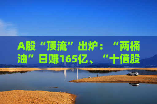 A股“顶流”出炉：“两桶油”日赚165亿、“十倍股”正丹股份净利大增120倍