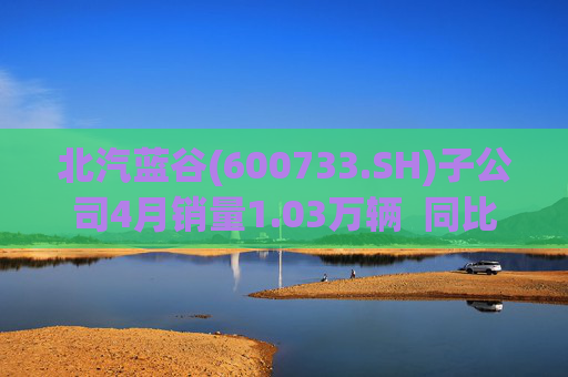 北汽蓝谷(600733.SH)子公司4月销量1.03万辆  同比增长258.33%