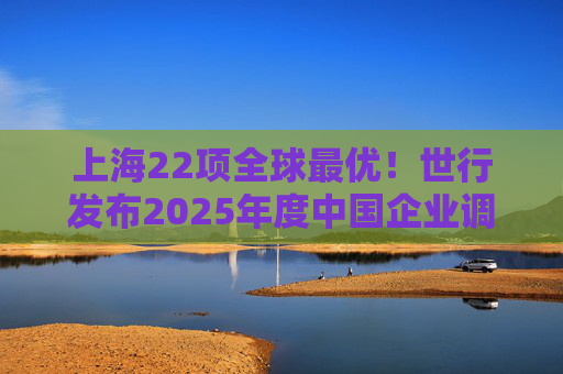 上海22项全球最优！世行发布2025年度中国企业调查报告