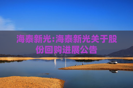 海泰新光:海泰新光关于股份回购进展公告