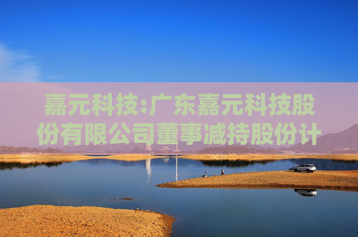 嘉元科技:广东嘉元科技股份有限公司董事减持股份计划公告  第1张