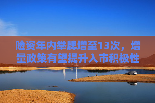 险资年内举牌增至13次，增量政策有望提升入市积极性