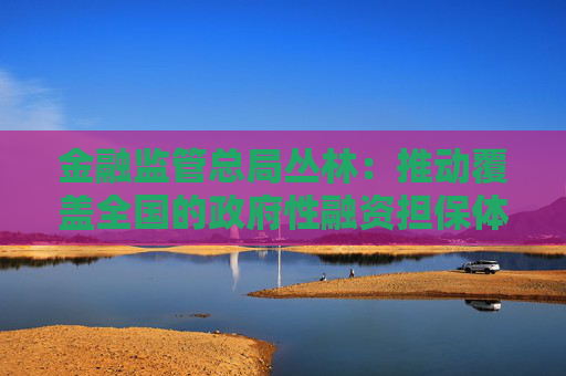 金融监管总局丛林：推动覆盖全国的政府性融资担保体系，服务小微企业为主要政策效益指标，担保费率不超过1%  第1张