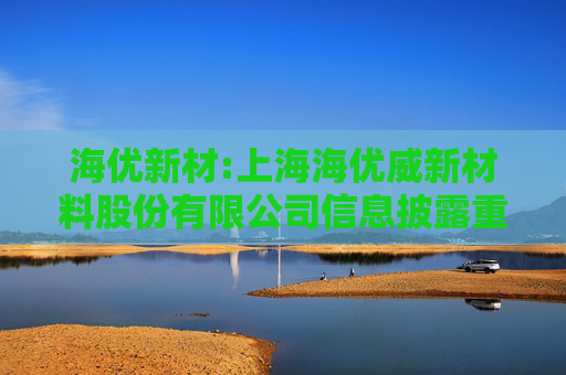 海优新材:上海海优威新材料股份有限公司信息披露重大差错责任追究制度（2025年5月修订）