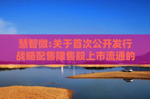 慧智微:关于首次公开发行战略配售限售股上市流通的公告
