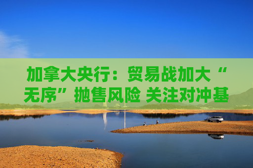 加拿大央行：贸易战加大“无序”抛售风险 关注对冲基金杠杆问题
