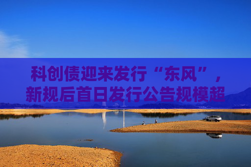 科创债迎来发行“东风”，新规后首日发行公告规模超700亿，银行券商民企齐发力