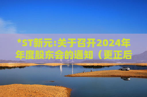 *ST新元:关于召开2024年年度股东会的通知（更正后）