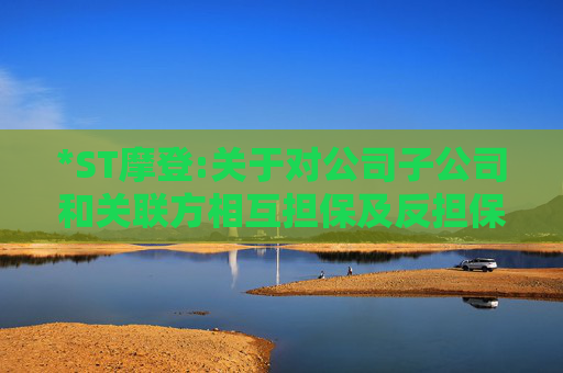 *ST摩登:关于对公司子公司和关联方相互担保及反担保事项的公告