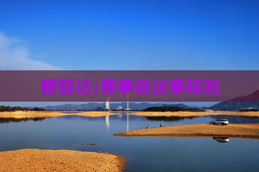 精智达:董事会议事规则