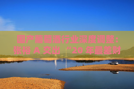 国产葡萄酒行业深度调整：张裕 A 交出 “20 年最差财报” 行业洗牌加速