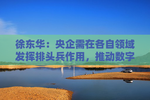 徐东华：央企需在各自领域发挥排头兵作用，推动数字化转型