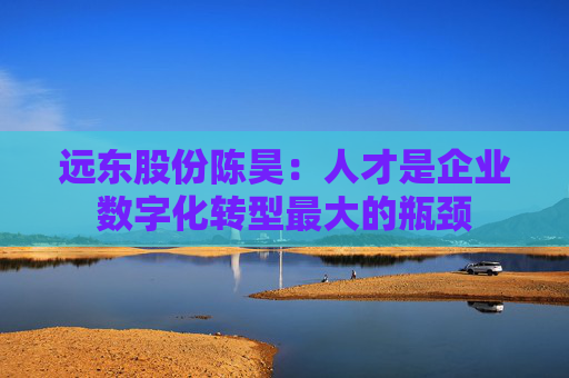 远东股份陈昊：人才是企业数字化转型最大的瓶颈