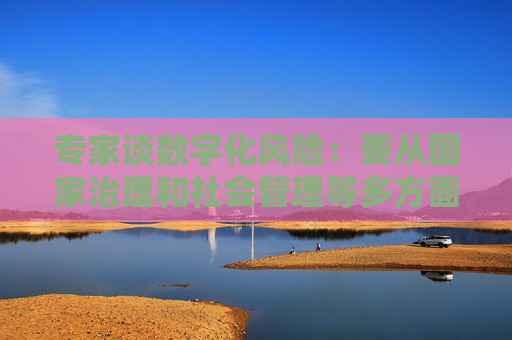 专家谈数字化风险：要从国家治理和社会管理等多方面采取措施