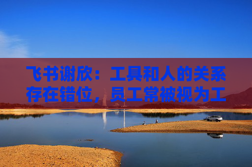 飞书谢欣：工具和人的关系存在错位，员工常被视为工具的附属