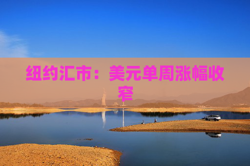 纽约汇市：美元单周涨幅收窄