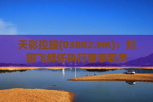 天彩控股(03882.HK)：刘国飞辞任执行董事职务  第1张