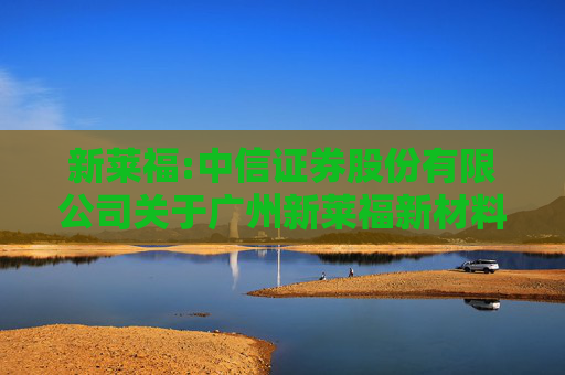 新莱福:中信证券股份有限公司关于广州新莱福新材料股份有限公司2024年度持续督导工作现场检查结果及提请公司注意事项