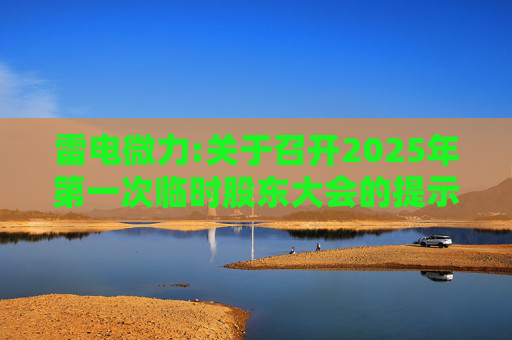 雷电微力:关于召开2025年第一次临时股东大会的提示性公告