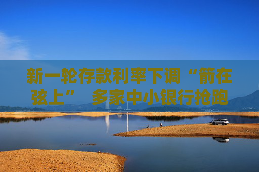 新一轮存款利率下调“箭在弦上”  多家中小银行抢跑压降负债成本