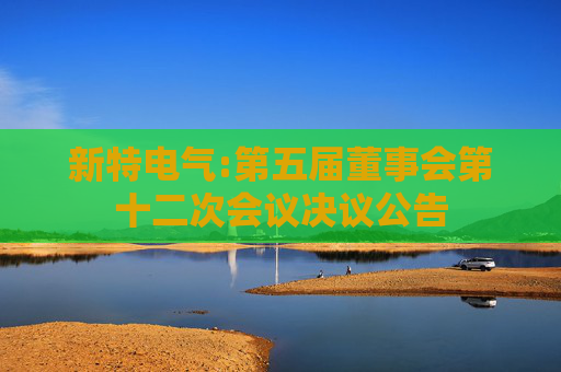 新特电气:第五届董事会第十二次会议决议公告