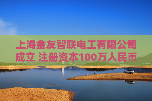 上海金友智联电工有限公司成立 注册资本100万人民币