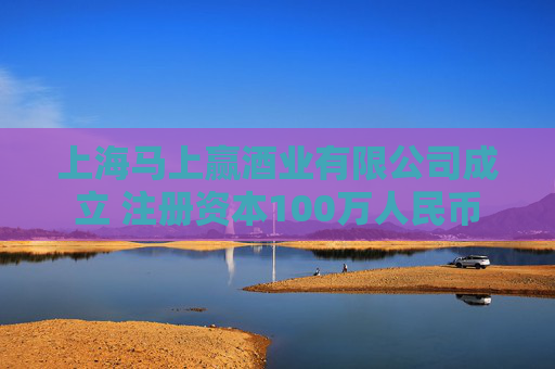 上海马上赢酒业有限公司成立 注册资本100万人民币