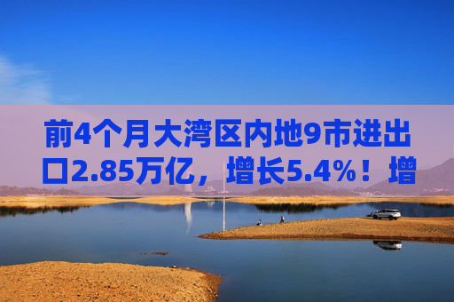 前4个月大湾区内地9市进出口2.85万亿，增长5.4%！增速快于广东整体0.5个百分点，占广东整体进出口总值96.4%