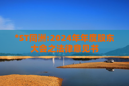 *ST同洲:2024年年度股东大会之法律意见书