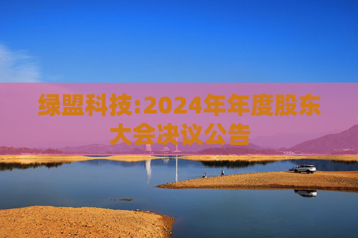 绿盟科技:2024年年度股东大会决议公告
