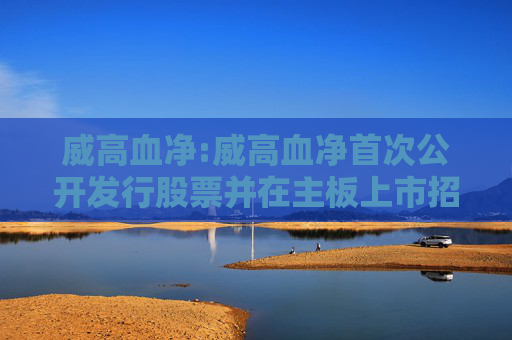 威高血净:威高血净首次公开发行股票并在主板上市招股说明书提示性公告