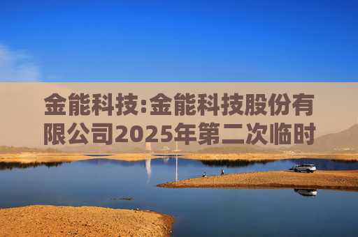 金能科技:金能科技股份有限公司2025年第二次临时股东大会决议公告