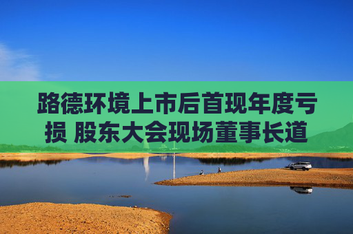 路德环境上市后首现年度亏损 股东大会现场董事长道歉