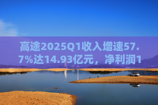 高途2025Q1收入增速57.7%达14.93亿元，净利润1.24亿元